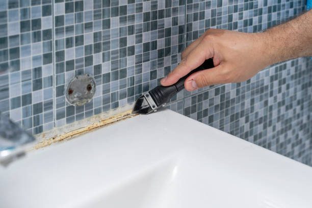 Best Residential Mold Removal  in Peshtigo, WI