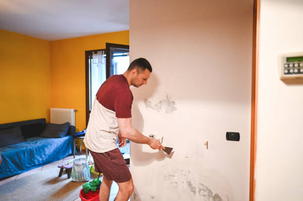 Best Certified Mold Removal  in Peshtigo, WI